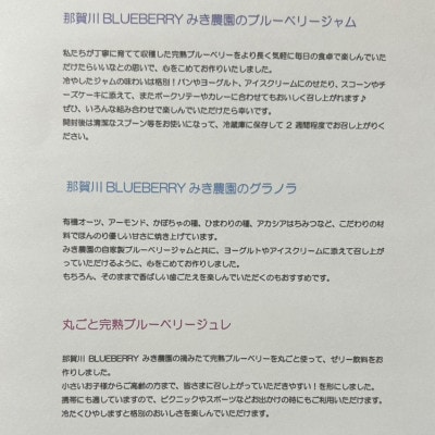 みき農園のとびきり!ブルーベリーパフェ体験セット