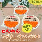 とくれん プデナーオレンジ80(70g×12個入)