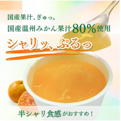とくれん プデナーオレンジ80(70g×12個入)