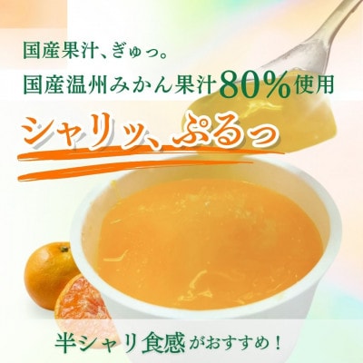 とくれん プデナーオレンジ80(70g×24個入)