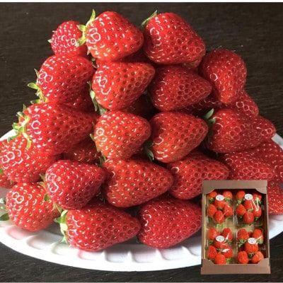 《300g×4パック》贈答用いちご1200g　2品種以上入ります。