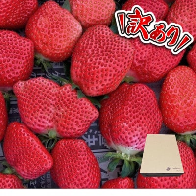 【訳あり】《300g×4パック》規格外いちご1200g　2種以上入ります。