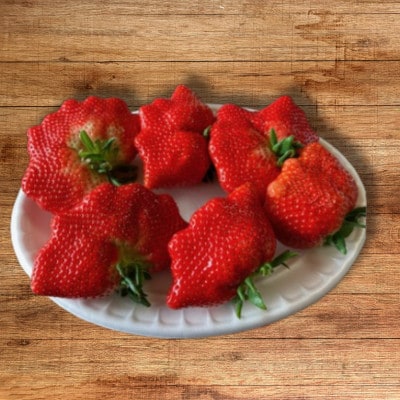 【訳あり】《300g×4パック》規格外いちご1200g　2種以上入ります。