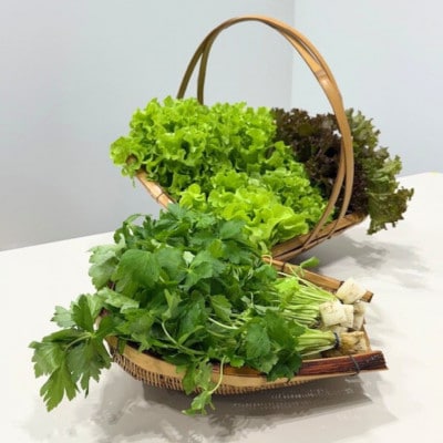 新鮮しゃきしゃきレタスと香る三つ葉セット