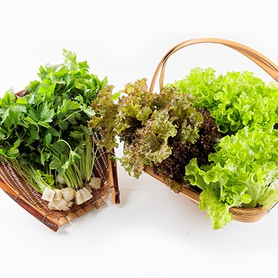 新鮮しゃきしゃきレタスと香る三つ葉セット
