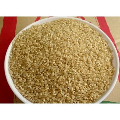 生産農家直接仕入れ米 令和4年産茨城県産コシヒカリ5kg【玄米発送】