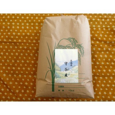 生産農家直接仕入れ米 令和4年産茨城県産コシヒカリ10kg【白米発送】