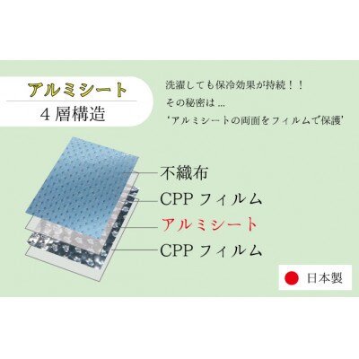 【保冷・洗濯ができる!】令和版あづま袋_S_あいいろ(紺)