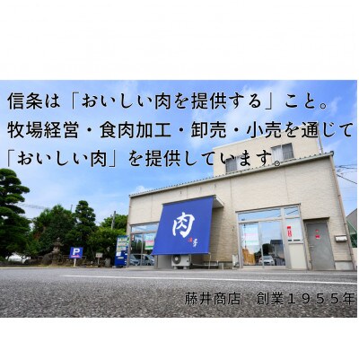 常陸牛(ひたちぎゅう)A5等級 サーロインブロック　9kg
