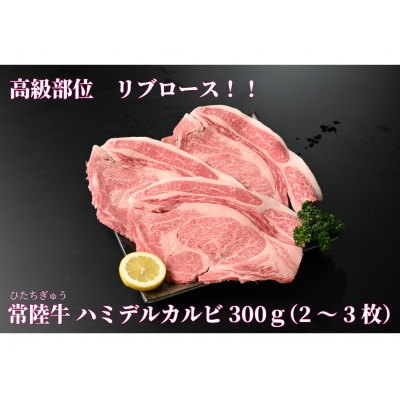 【常陸牛】ハミデルカルビ300g(2～3枚)
