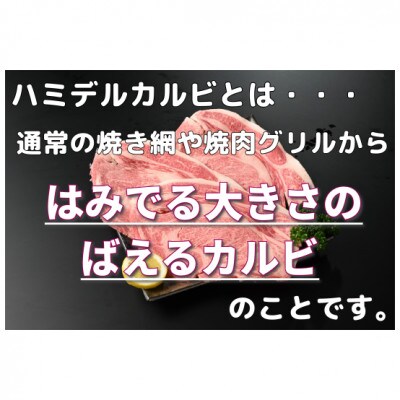 【常陸牛】ハミデルカルビ300g(2～3枚)