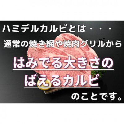 【常陸牛】ハミデルカルビ500g(3～5枚)