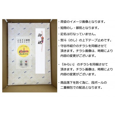 【ギフト・御祝のし】生ジョッキ缶　340ml×1ケース 　