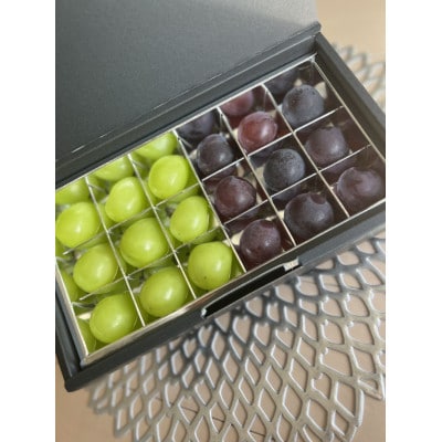 【茨城県共通返礼品　　かすみがうら市産】粒々ぶどう18粒　　ナガノパープルとぶどう1品種　各9粒