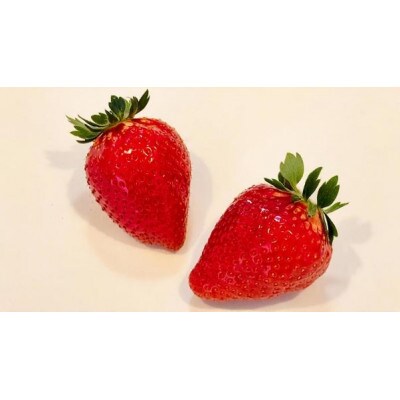 【茨城県共通返礼品 かすみがうら市産】粒々いちご36粒 とちおとめと白いちごとシャインマスカット