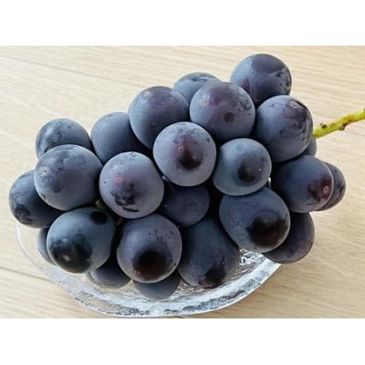 【茨城県共通返礼品 かすみがうら市産】ナガノパープル　2房(桐箱入)