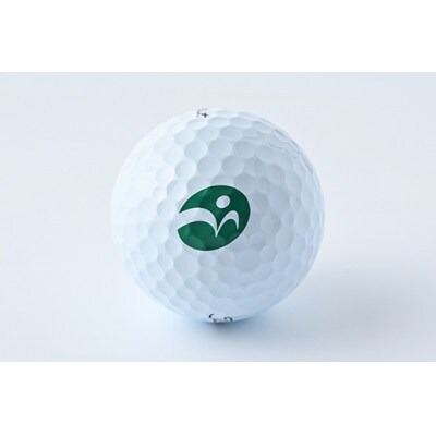 タイトリスト PRO V1X 2023モデル 1ダース(12個) 【守谷市オリジナルデザイン】