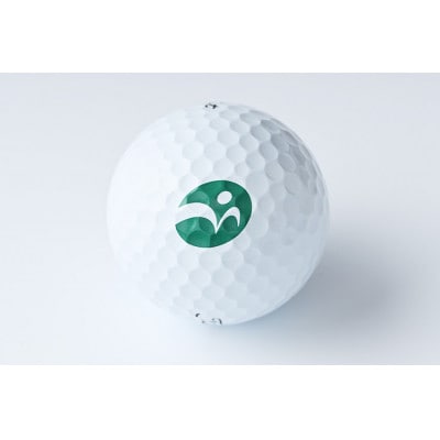 タイトリスト PRO V1 2023モデル 5ダース(60個) 【守谷市オリジナルデザイン】