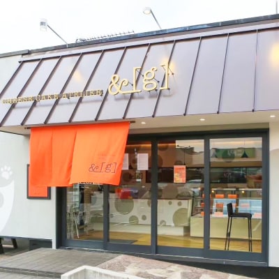 純生レア　cheese cake