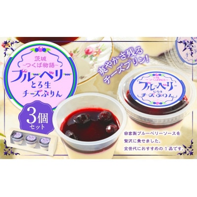 とろ生チーズプリン(ブルーベリーソース)3個セット