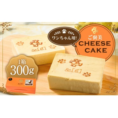 ワンちゃん用!ご褒美 cheese cake