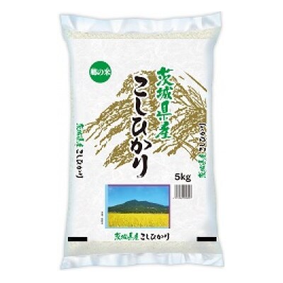 【令和7年産】茨城コシヒカリ20kg(5kg×4袋)【精米】