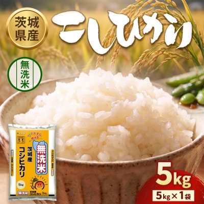 【令和8年産】茨城コシヒカリ 5kg(5kg×1袋)【精米・無洗米】