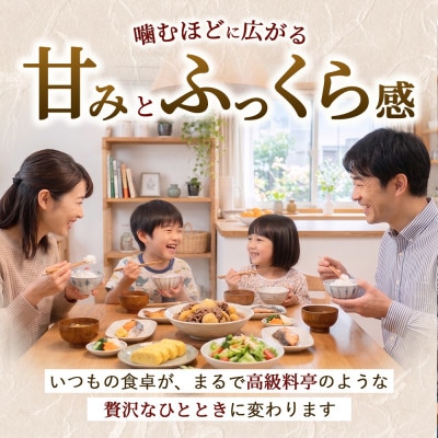 【令和8年産】茨城コシヒカリ 5kg(5kg×1袋)【精米・無洗米】