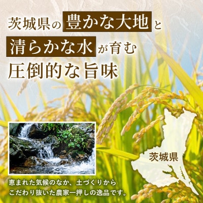 【令和8年産】茨城コシヒカリ 5kg(5kg×1袋)【精米・無洗米】