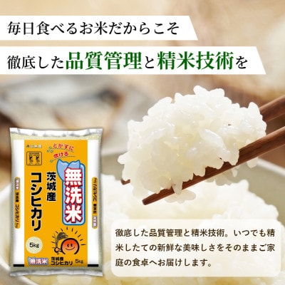 【令和8年産】茨城コシヒカリ 20kg(5kg×4袋)【精米・無洗米】