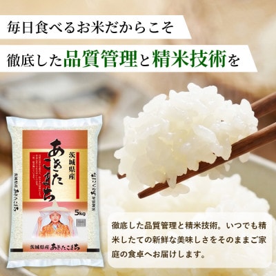 【令和8年産】茨城あきたこまち 5kg(5kg×1袋)【精米】