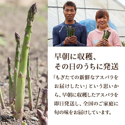 【先行受付 2026年産】ほりぐち農園の朝もぎ春グリーンアスパラ 1kg