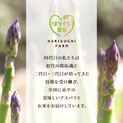 【先行受付 2026年産】ほりぐち農園の朝もぎ春グリーンアスパラ 1kg