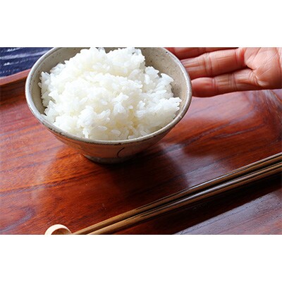 【毎月定期便】ほりぐち農園直送のお米 精米したてゆめぴりか 5kg 全3回