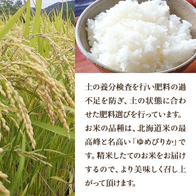 【発送月固定定期便】ほりぐち農園直送のお米 精米したてゆめぴりか　5kg全3回
