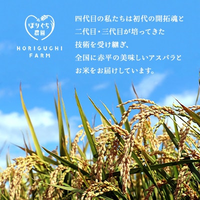 【発送月固定定期便】ほりぐち農園直送のお米 精米したてゆめぴりか　5kg全3回