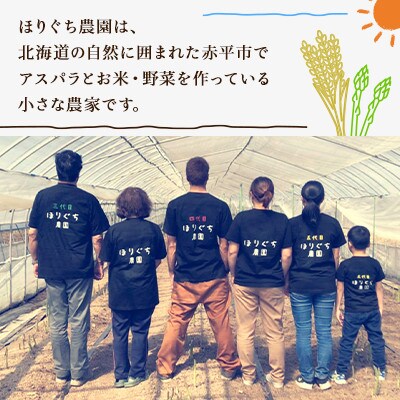 【発送月固定定期便】ほりぐち農園直送のお米 精米したてゆめぴりか　10kg全6回