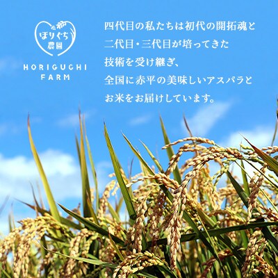 【発送月固定定期便】ほりぐち農園直送のお米 精米したてゆめぴりか　10kg全6回