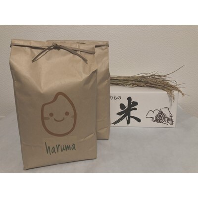 2022年3月発送開始『定期便』ほりぐち農園直送のお米　精米したてゆめぴりか　5kg×2袋全12回
