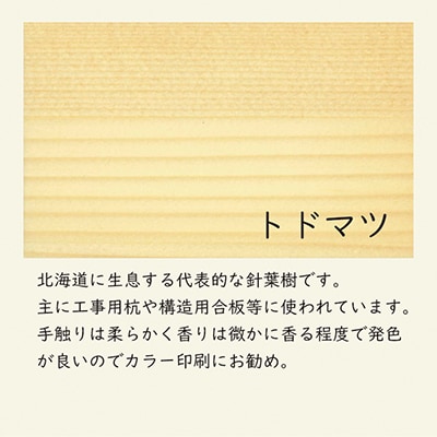 木の名刺　トドマツ