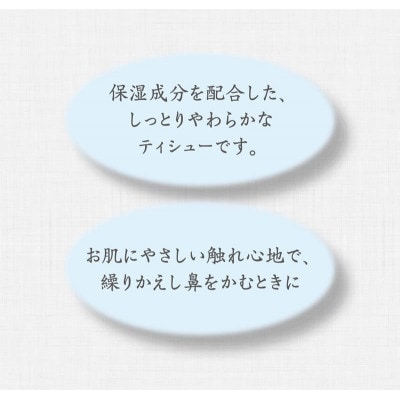 【赤平市限定】エリエール北海道しっとりティシュなまらたっぷり　240W3P×10パック