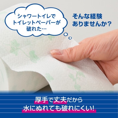 エリエールシャワートイレのためにつくった吸水力が2倍のトイレットペーパー(ダブル)12R×6パック