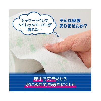 2022年10月発送開始『定期便』エリエール吸水力が2倍のトイレットペーパー(W)12R×6全2回
