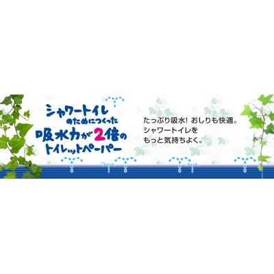 2022年10月発送開始『定期便』エリエール吸水力が2倍のトイレットペーパー(W)12R×6全2回