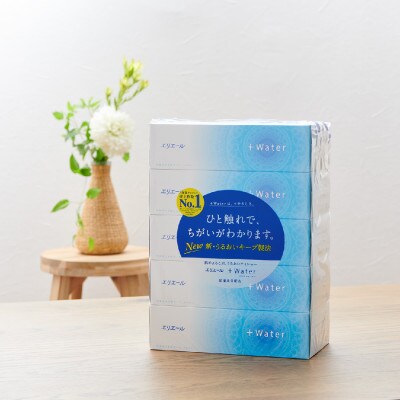 2022年11月発送開始『定期便』エリエール+Water180組5箱×10パック全2回