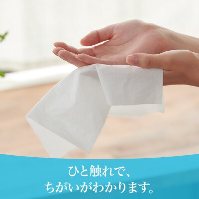 2022年11月発送開始『定期便』エリエール+Water180組5箱×10パック全2回