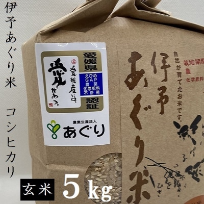 ★令和7年産発送★　伊予あぐり米「コシヒカリ」(玄米5kg) 