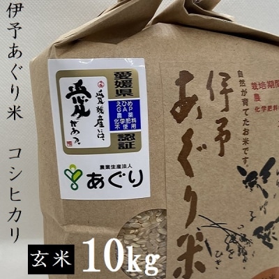 ★令和7年産発送★　伊予あぐり米「コシヒカリ」(玄米10kg) 