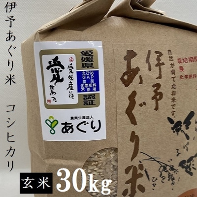 ★令和7年産発送★　伊予あぐり米「コシヒカリ」(玄米30kg) 