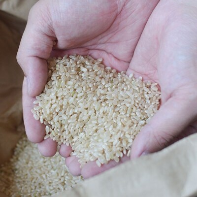 ★新米(令和4年産)発送★ 伊予あぐり米「コシヒカリ」(精米10kg) 【F-13】